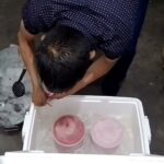 Los mejores lugares para disfrutar helados en Parla