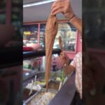 Delicias Heladas: La Mejor Heladería en San Fermín