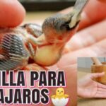 Los mejores lugares para disfrutar helados artesanales en Alcorc&oacute;n